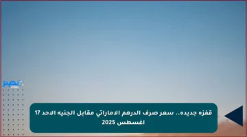 قفزة جديدة.. سعر صرف الدرهم الإماراتي مقابل الجنيه الأحد 17 أغسطس 2025
